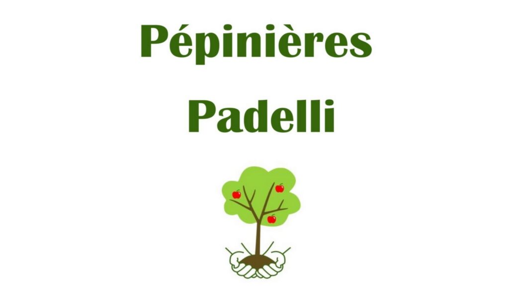 Logo des Pépinières Padelli à Damazan